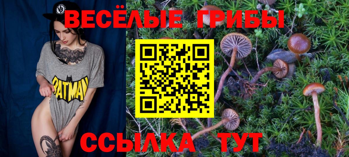 Псилоцибиновые грибы GOLDEN TEACHER Снежинск