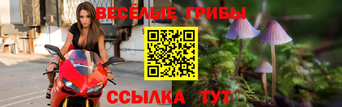 Псилоцибиновые грибы мицелий  Галлюциногенные грибы Psilocybe  Снежинск  Вход с VPN 